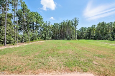 3901 Alpha Ct, Bailey, NC 27807 - photo 7