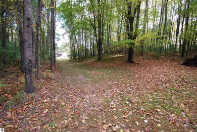 3637 Maes Rd, West Branch, MI 48661 - photo 7