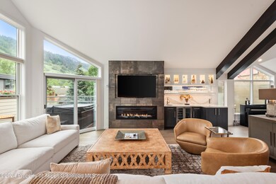 927 E Durant Ave unit 3, Aspen, CO 81611 - photo 3