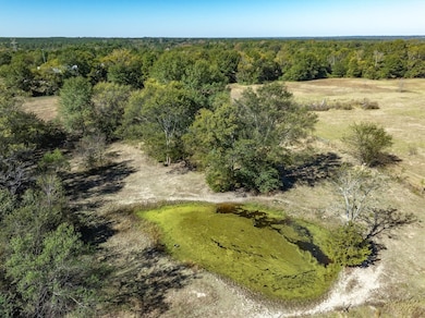 21151 County Road 4106, Lindale, TX 75771 - photo 7