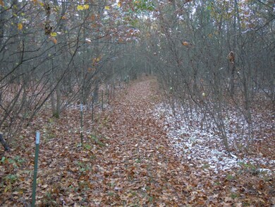 1112 W Woodland Park Dr, Bitely, MI 49309 - photo 2