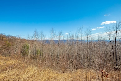 0 Spring Pond Trail, Cana, VA 24317 - photo 4
