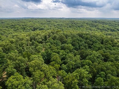 6375 Red Corn Ridge Rd, Proctor, OK 74457 - photo 3