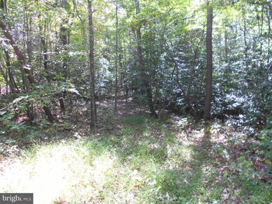 0 Dawsonville Ln unit 1000999511, Ruckersville, VA 22968 - photo 2