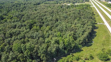0N of County Road 474, Poplar Bluff, MO 63901 - photo 4