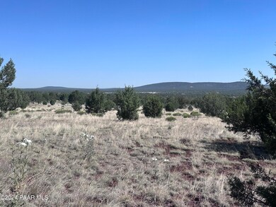 1611 W Yukon Dr, Ash Fork, AZ 86320 - photo 3