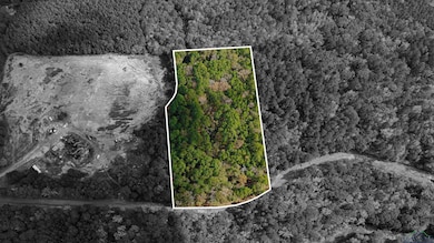 TBD Cr 162, Kilgore, TX 75662 - photo 2