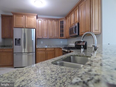 24660 Woolly Mammoth Terrace unit C-201, Aldie, VA 20105 - photo 6