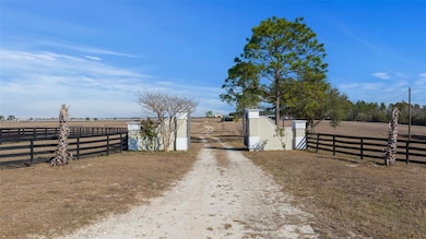 12451 NE 20th St, Williston, FL 32696 - photo 7