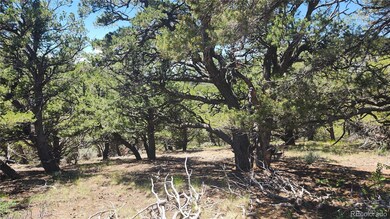 4532 Villa Rd, Fort Garland, CO 81133 - photo 4