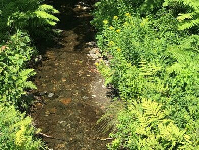 00 Route 120, Cornish, NH 03745 - photo 3