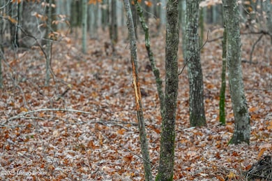 3095 Herbert Howell Rd, Hodgenville, KY 42748 - photo 7