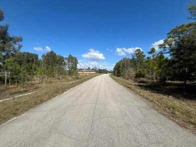 1258 Bowles Ave, Lehigh Acres, FL 33913 - photo 6