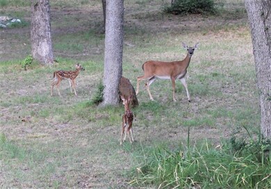 0000 Rain Dance Rd, Grapeland, TX 75844 - photo 7