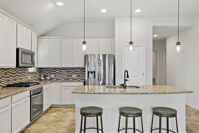 417 Badlands Trail, Celina, TX 75009 - photo 3