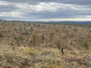 Lot 16 Hoot Owl Trail unit 16, Payson, AZ 85541 - photo 7