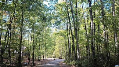 0 Oakcrest Ln unit 3, Rockfish, VA 22958 - photo 6