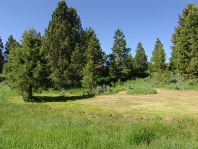 Nicely Wooded