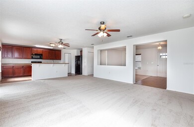 221 Star Shell Dr, Apollo Beach, FL 33572 - photo 6