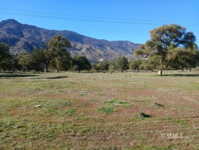 0 Caliente Bodfish Rd unit 2607818, Havilah, CA - photo 7