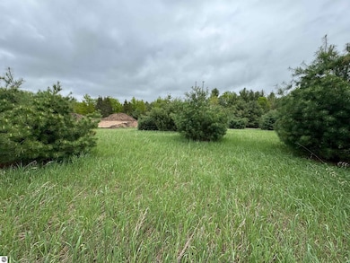 Lot #7 E Bellinger Rd unit 7, Cedar, MI 49621 - photo 7