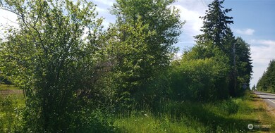 32524 Old 99 N, Stanwood, WA 98292 - photo 3