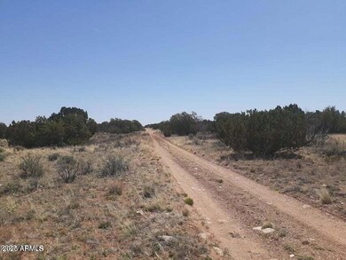 SE 10 Acre 17xx Buffington Hill Rd, Heber, AZ 85928 - photo 6