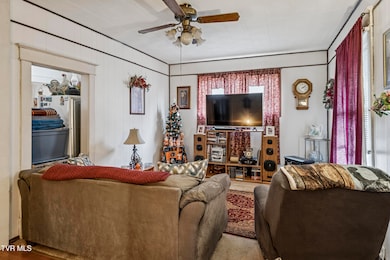 241 2nd St, Erwin, TN 37650 - photo 5