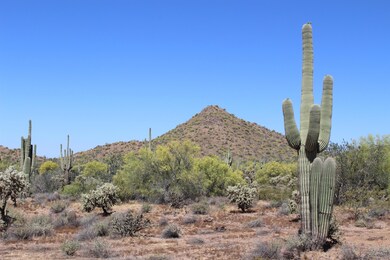 2542 N Mountain Rd, Mesa, AZ 85207 - photo 6