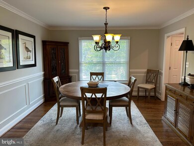 7315 University Ave, Glen Echo, MD 20812 - photo 5