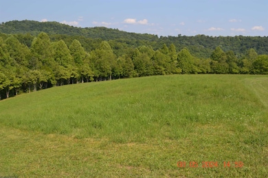 000 Hawk's View Ln, Napier, WV 26631 - photo 4