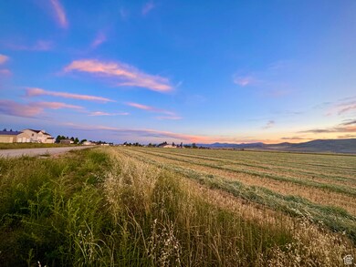 216 Bald Mtn Way unit 1, Montpelier, ID 83254 - photo 6