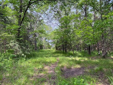 S Rd, Richards, MO 64778 - photo 6