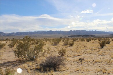 4499 Pearl Springs Ave, Twentynine Palms, CA 92277 - photo 3