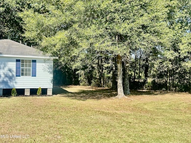 7433 Dillon Ln, Magnolia, MS 39652 - photo 5