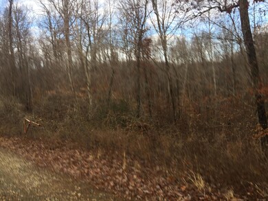 There is still viable timber to be cut. 