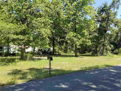 0 Brown Blvd, Crawfordville, FL 32327 - photo 2