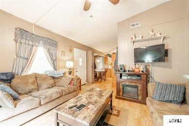 716 Bryan Ave, Lincoln, IL 62656 - photo 5