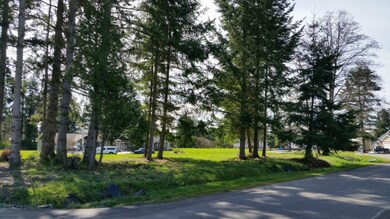 4591 Hall Rd, Blaine, WA 98230 - photo 2