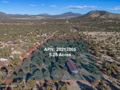Aerial with Property Lines