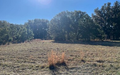 820 NW Frontier Dr, Lake City, FL 32055 - photo 5