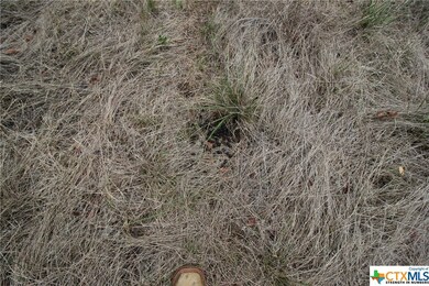 TBD Cowan Rd, Moody, TX 76557 - photo 6