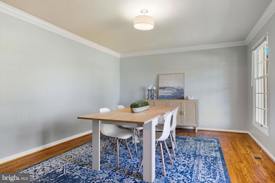 509 Cindy Ct, Sterling, VA 20164 - photo 3