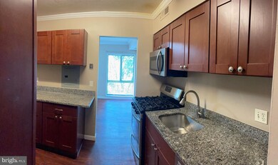 6099 Majors Ln unit 9, Columbia, MD 21045 - photo 3