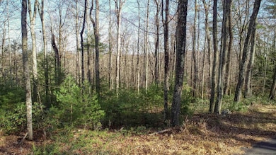 TBD Bennett Rd, Wawarsing, NY 12458 - photo 3