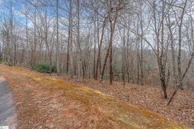 30 Lakes Edge Way, Marietta, SC 29661 - photo 3