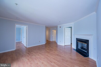 9150 Gracious End Ct unit 204, Columbia, MD 21046 - photo 6