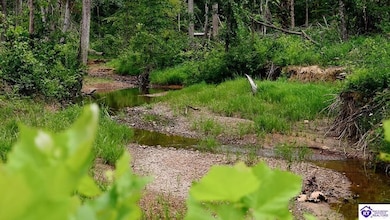 Tract 1 Cook Ln, Cromwell, KY 42733 - photo 6