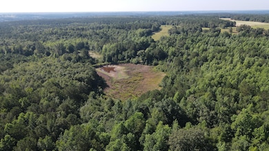 DJI_0420