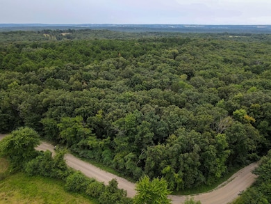 000 Merryman Rd, Formosa Township, AR 72031 - photo 5